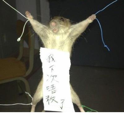 形容乡下空气清新的话