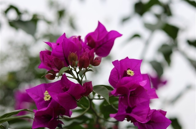 表示伤心难过的昵称