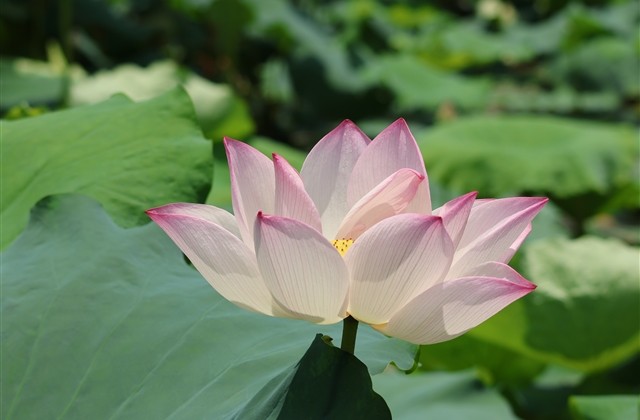 诛仙名字大全两个字(共609个)