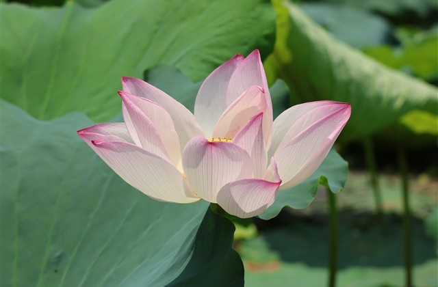 诛仙名字大全两个字(共609个)