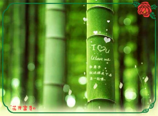 情人节经典表白语录