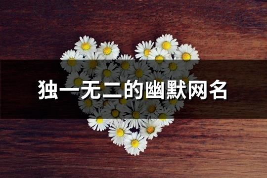 独一无二的幽默网名(优选137个) 独一无二的幽默网名(优选137个)