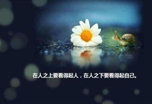 朋友圈早安心语2025最新语录