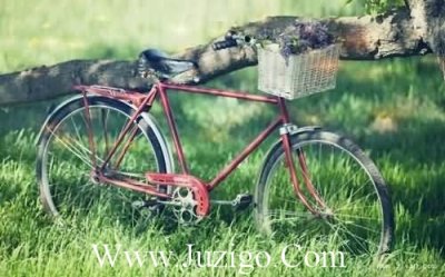 ​最新诚实的好词好句摘抄西游记的好句子摘抄(精选64句)