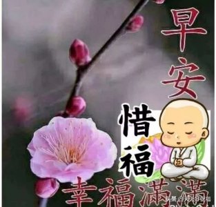 ​写给爱人早安唯美句子，亲爱的早上好正能量问候语