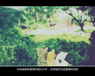 ​你是我不能言说的伤空青