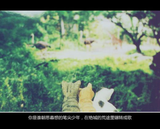 你是我不能言说的伤空青