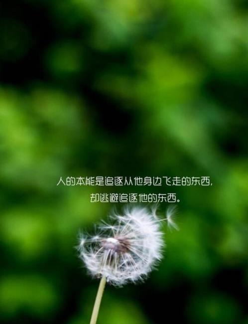 qq情侣网名两个字 qq网名唯美情侣超长