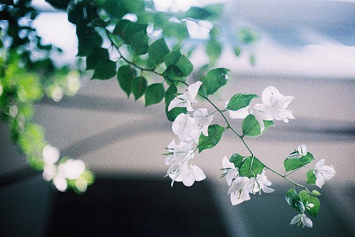 抖音文案正能量吸引人的句子(27句)