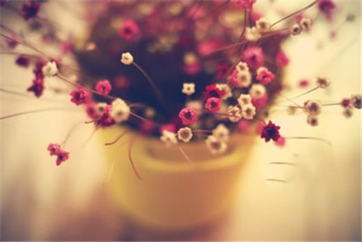 简单干净短句励志