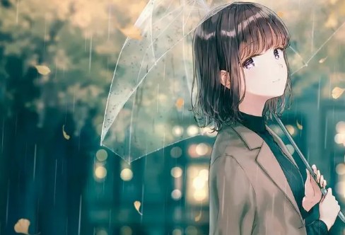 1706714162296187.png image.png