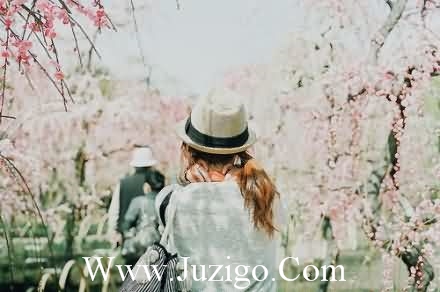 求女生伤感性签名84句