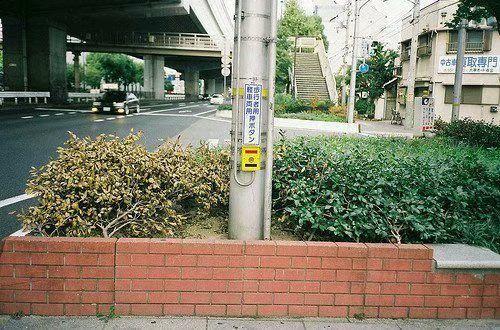 伤感个性签名锦集