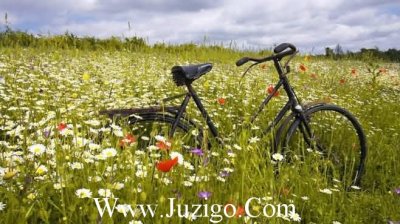 ​2025年吸引人的个性签名2025年早晨个性说说(精选70句)