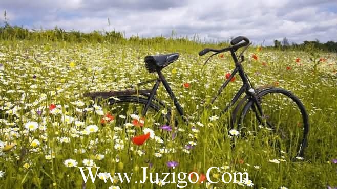 2025年吸引人的个性签名2025年早晨个性说说(精选70句)