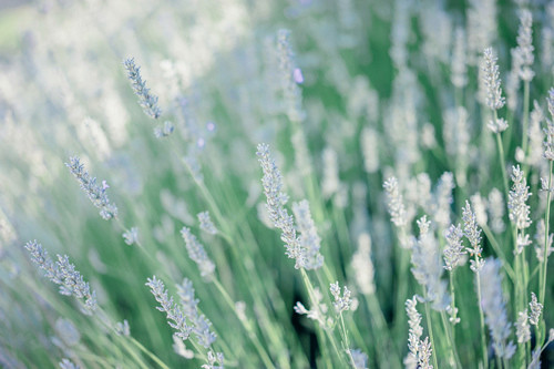 40岁性签名大全120句