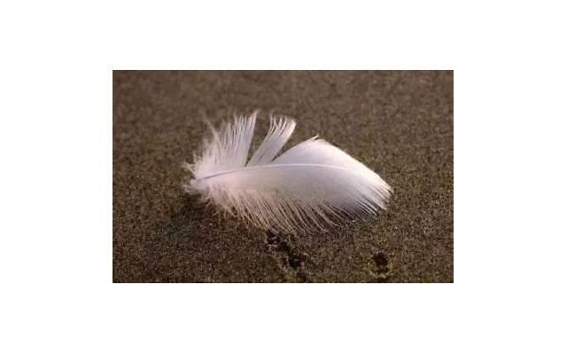 六一感谢文案短句治愈汇编76条 六一感谢文案短句治愈汇编76条