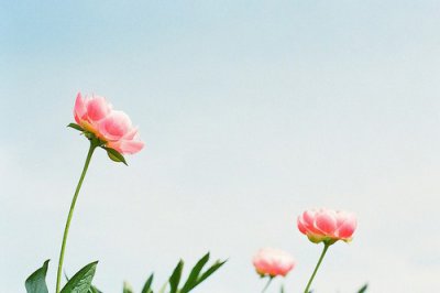 ​2026端午节唯美文案说说(92句)