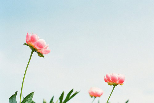 2023端午节唯美文案说说(92句)