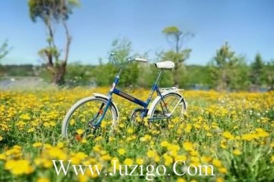 ​2026年练瑜伽的文案精选练瑜伽的文案(精选50句)