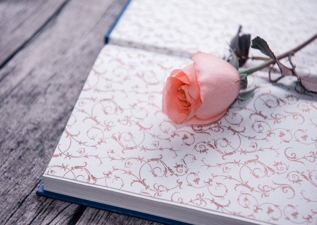 2023年简短的人生短语说说