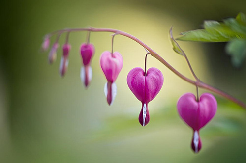 感情的句子说说心情84句