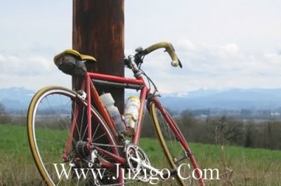 ​女生总感觉自己没有衣服穿的说说缺衣服穿的很幽默的语录