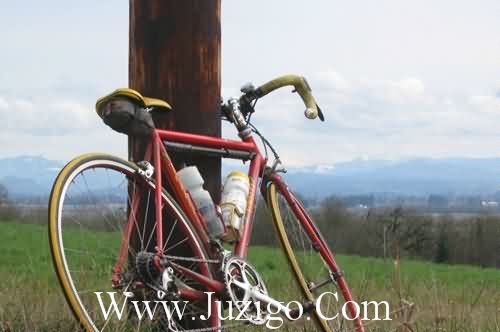 女生总感觉自己没有衣服穿的说说 缺衣服穿的很幽默的语录