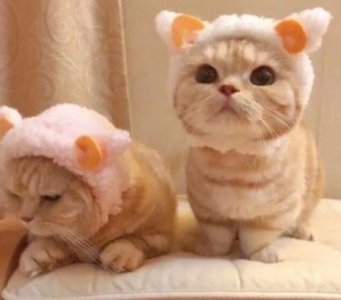 ​特别污的开车文案污到爆 一招让男人想你到发疯(86句)