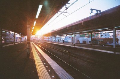 ​关于想要减肥的搞笑说说(精选76句)