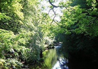 ​第一眼就心动的文案 很温柔很仙的短句汇总59句