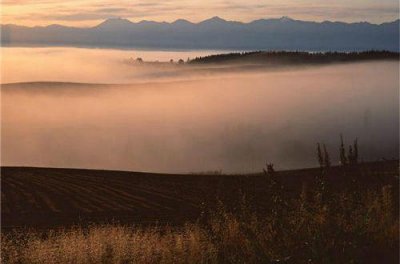 ​人到中年的感悟的说说 有一种心累叫人到中年(35句)