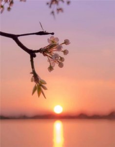 ​阳光正能量的励志说说短语（说说励志短语人生感悟）