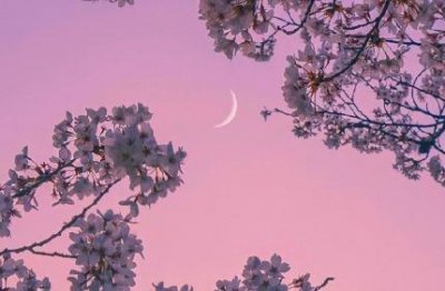 ​简单的朋友圈伤感句子69条