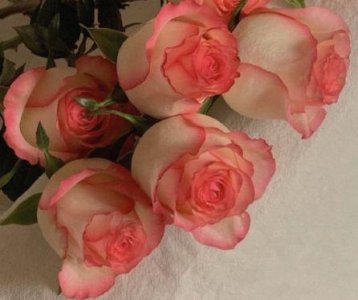 ​你好四月朋友圈文案语句 四字朋友圈文案(精选78句)