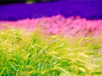 ​表达喜欢下雨天的说说(24句)