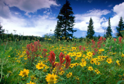 ​好看带符号的QQ网名大全194个