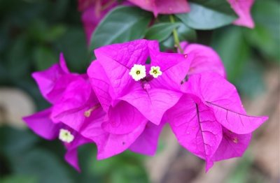 ​带冷字的游戏网名(104个)