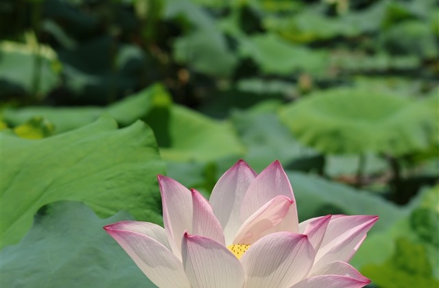 带冷字的游戏网名(104个)