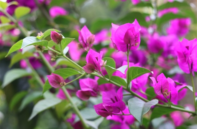 好的群名昵称大全(精选74个)