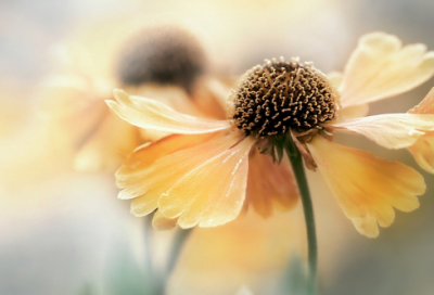 ​特殊含义的网名(精选50个)