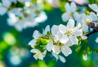 ​令人难过的网易云昵称(共75个)