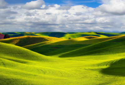 ​好听的带花的高雅名字(精选72个)