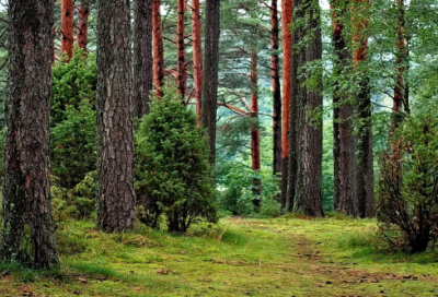 ​找一个好网名大全(77个)