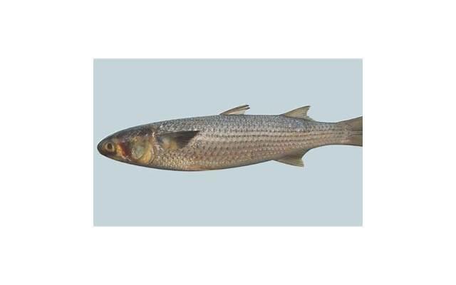 突然心情不好的说说句子 突然心情不好的说说句子