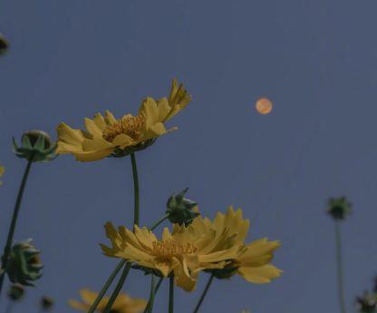 珍惜现在所拥有的文案