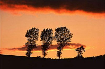 ​正能量句子语录