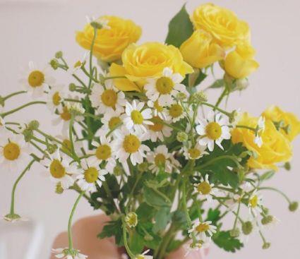 正能量的英文好句子