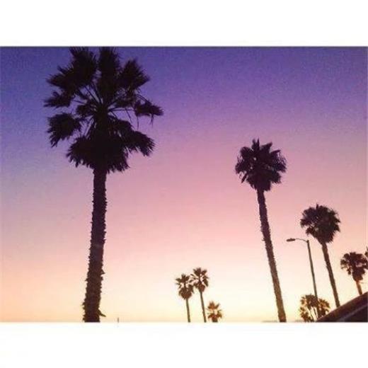 我的嘴笨不会花言巧语的句子