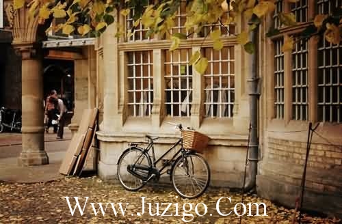 学雷锋口号学雷锋口号押韵(精选65句)